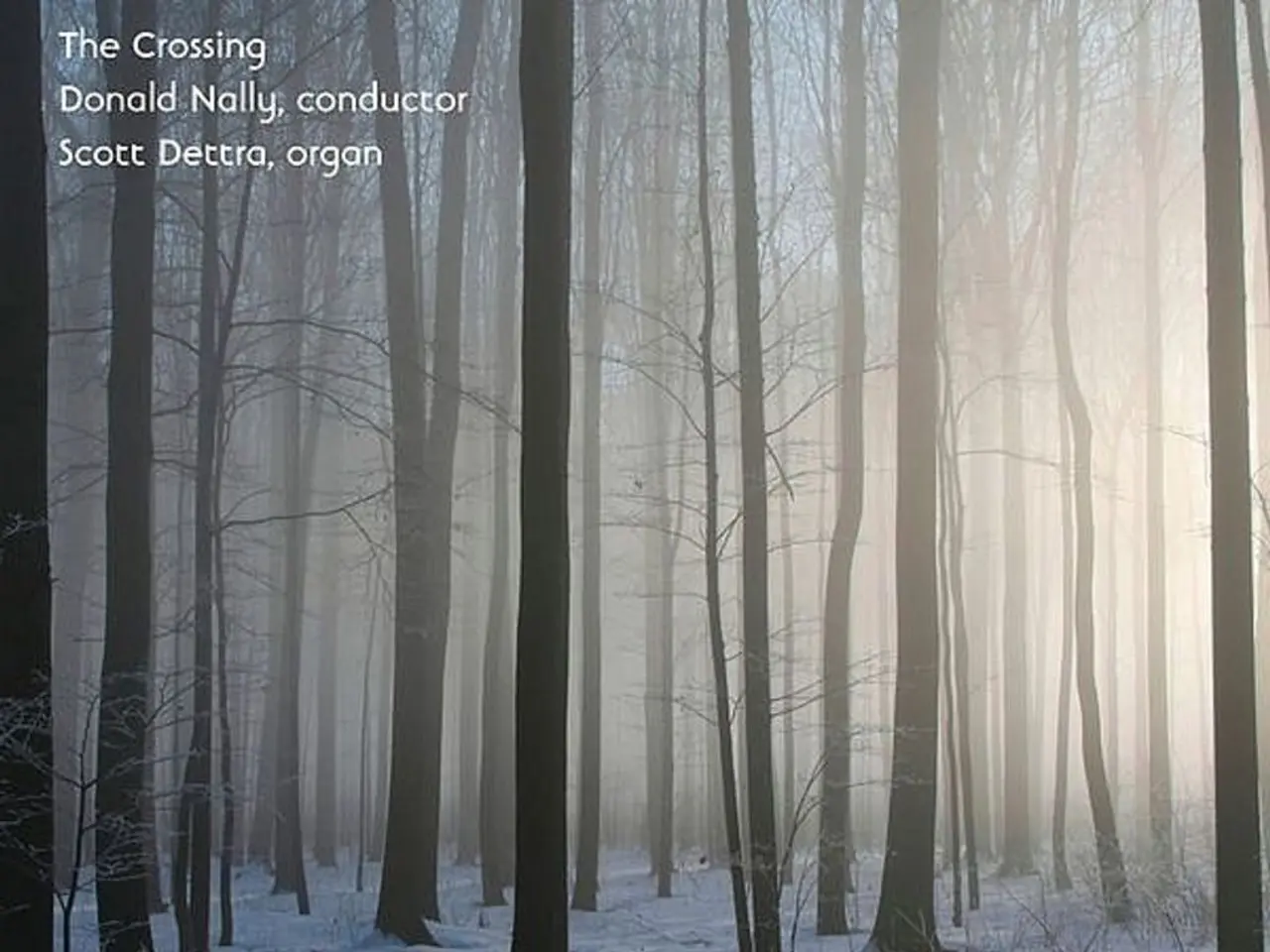 sfumature autunnali delle foglie: spiegazione del cambiamento di colore