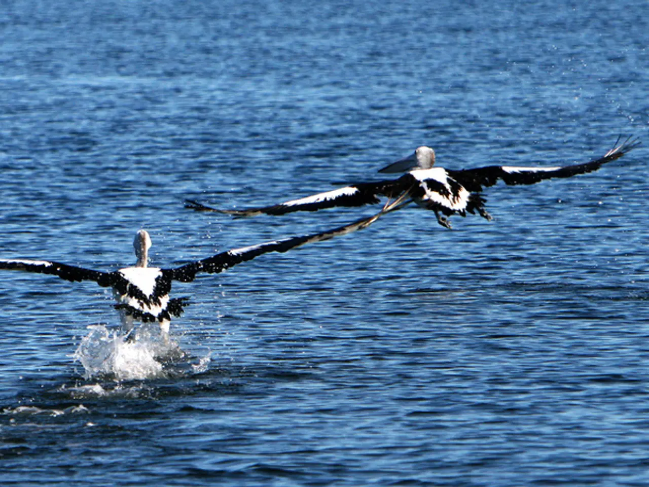 Eolico e Gabri bullets: una questione di armonia?