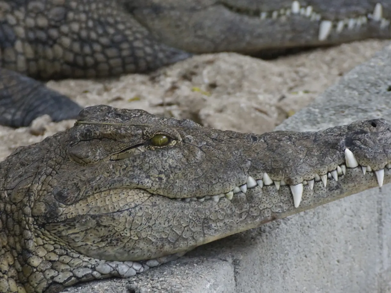 Cattura di anidride carbonica nel cemento: potrebbe essere una strategia climatica praticabile?