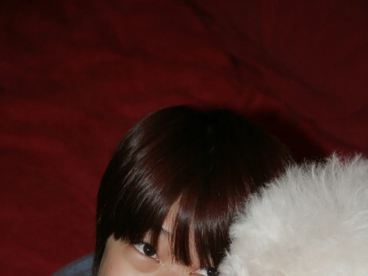 Siamo riusciti ad incorporare un nuovo animale domestico nella nostra casa di Angelman, con...