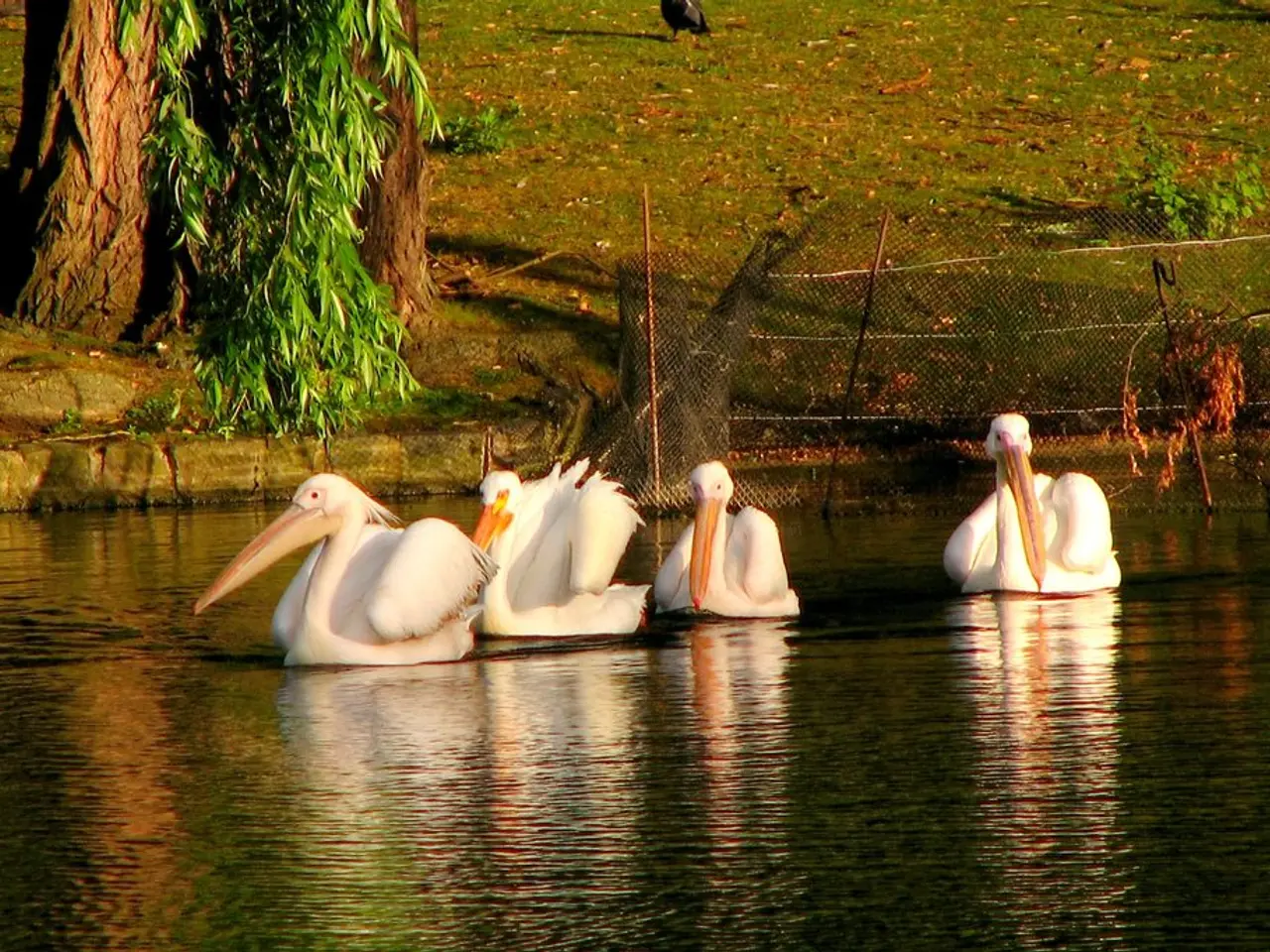Castaor Torna in Obertshausen, Piano Nuovi Spazi Vivendi
