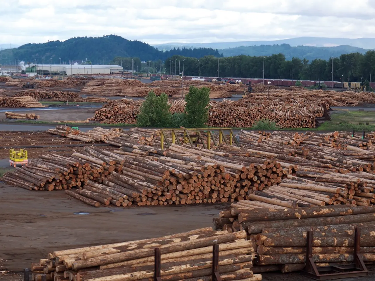 Idee di organizzazione ispirate alla natura che accendono meraviglia e curiosità per le famiglie