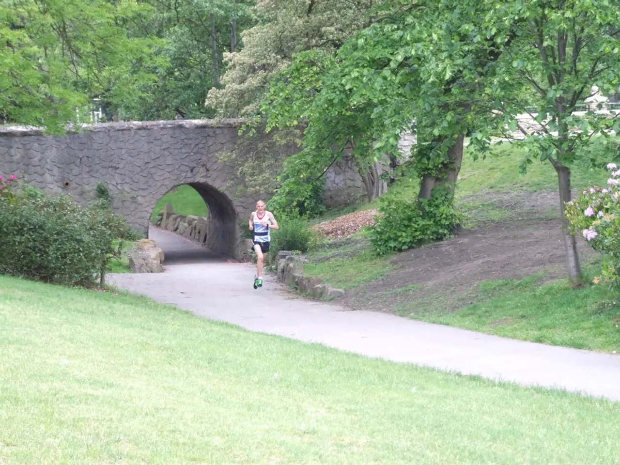 Conferma del Debate: i Vantaggi della Corsa Passeggiata all'aria aperta vs Esercizio sulla Tappet...