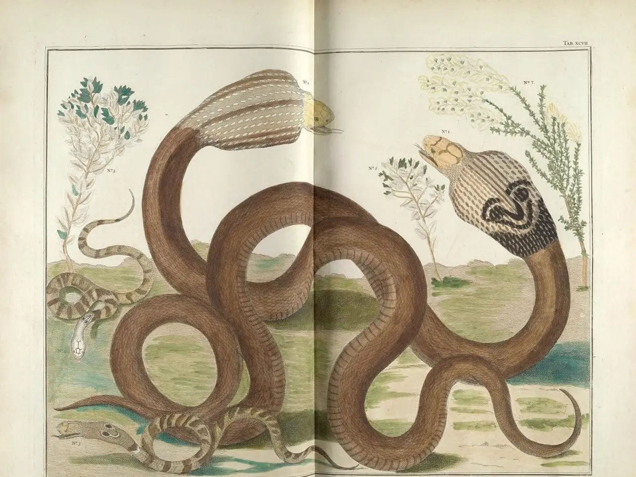 Singapore Post Lancia francobolli che mettono in mostra le specie animalesche a rischio critico...