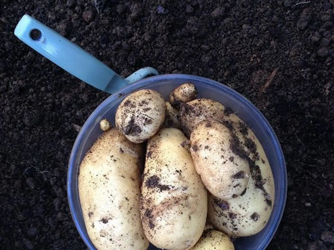 Strumenti di sopravvivenza per i batteri che prosperano nelle condizioni del suolo