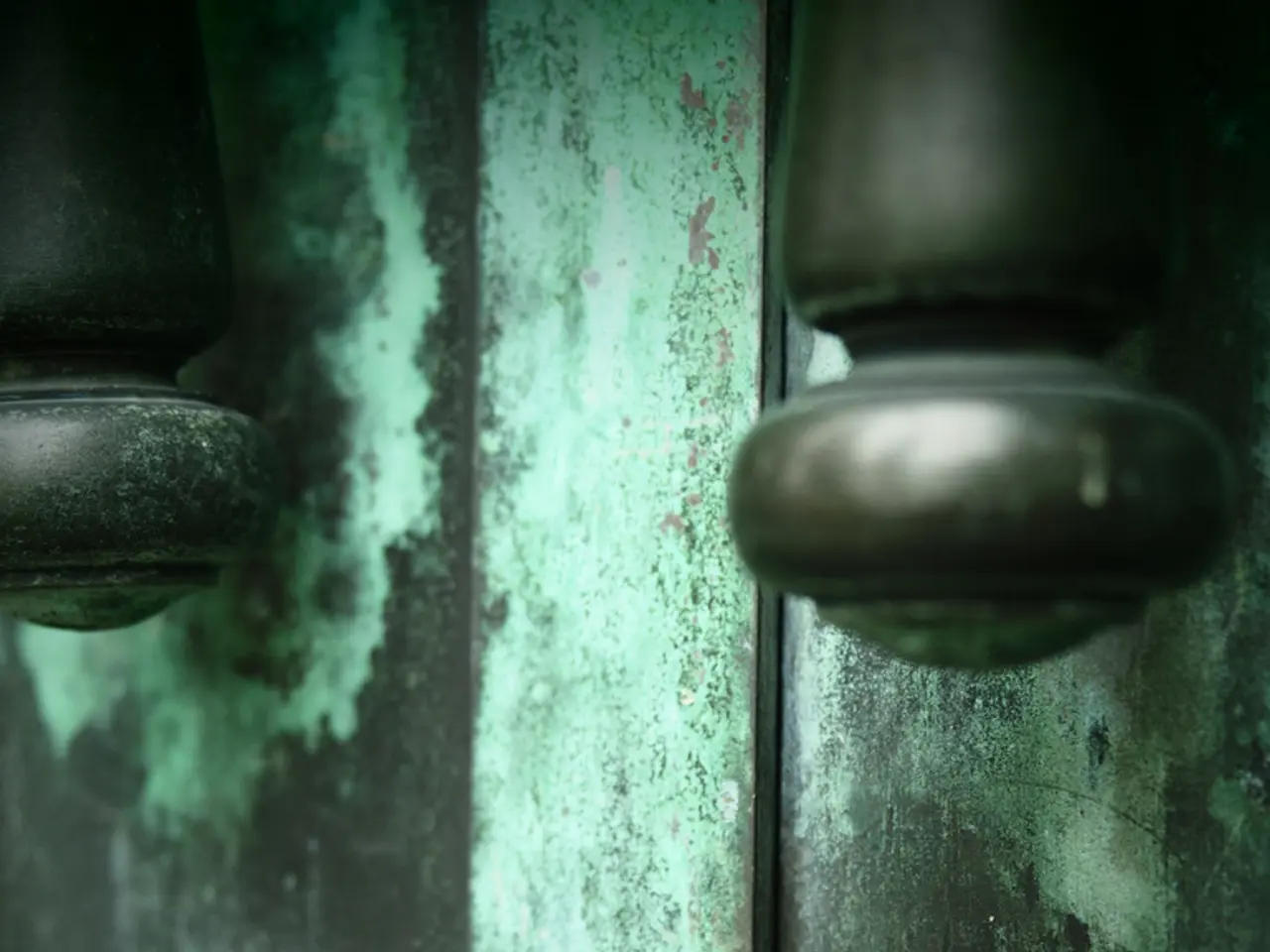 Scegli Fisso o Variabile: prendere la giusta decisione per il tuo tasso di interesse del mutuo