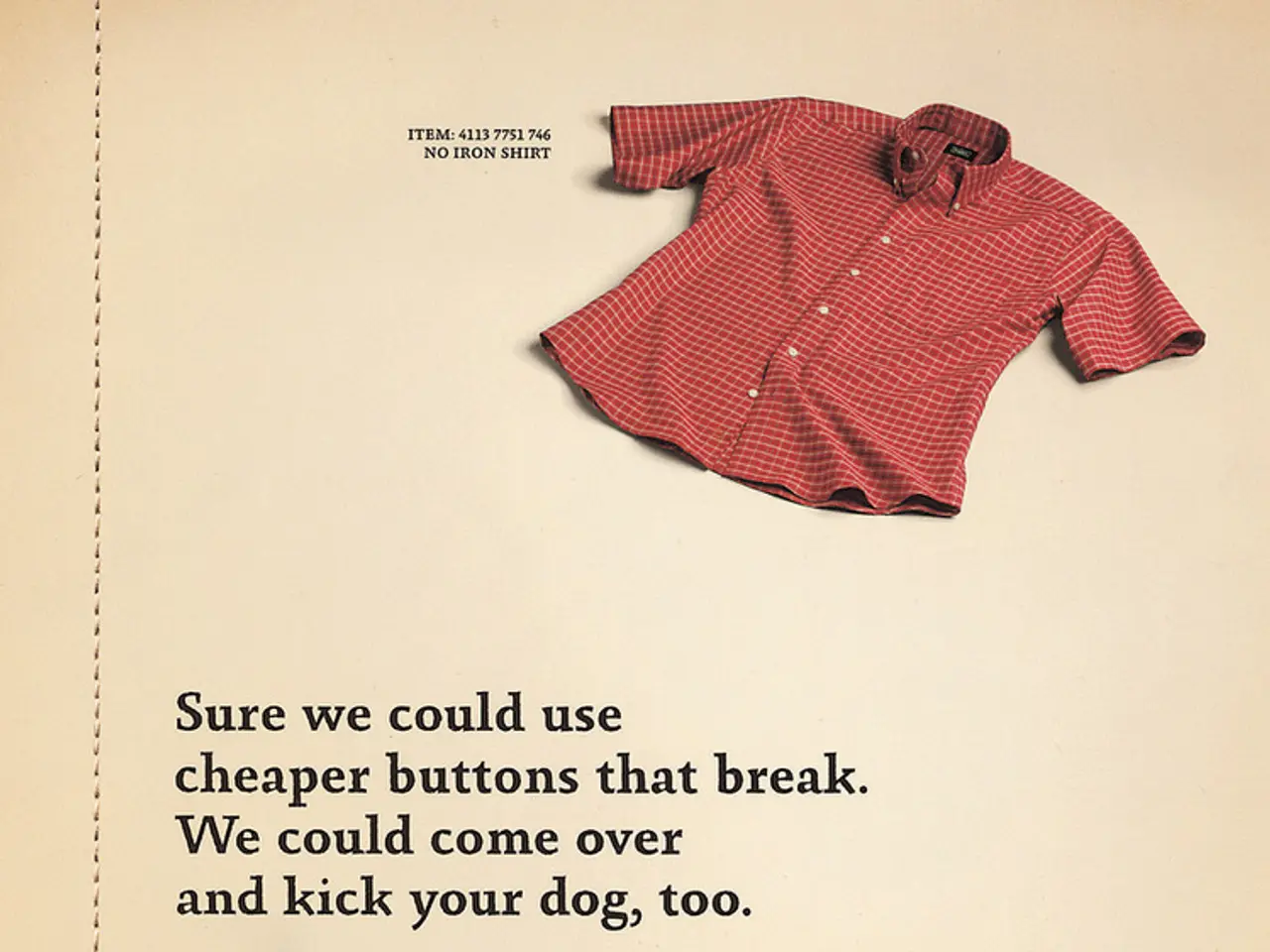 Intervista con il rinomato addestratore di cani Ben Randall, noto per i suoi riconoscimenti