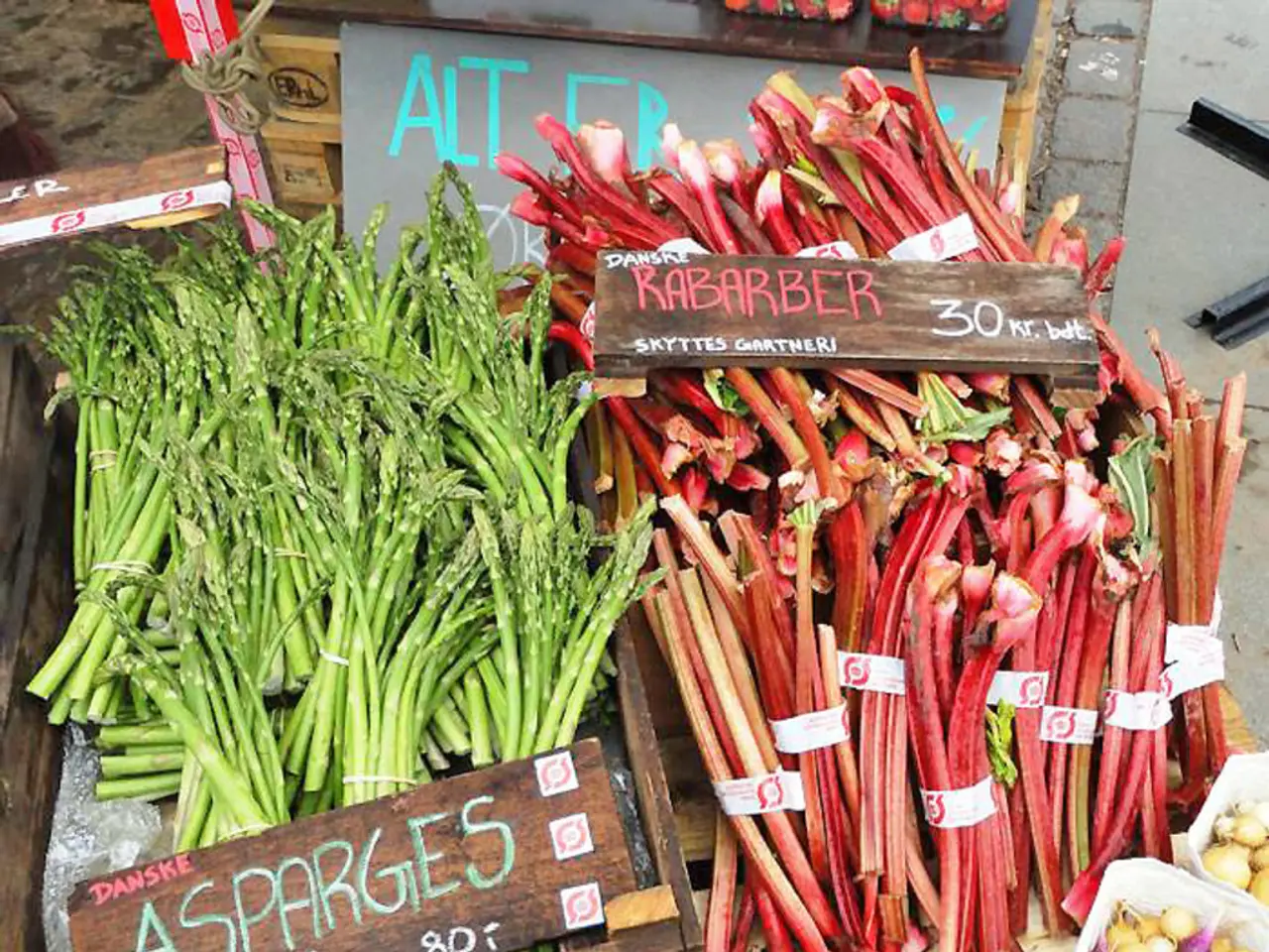 Costruire Pavimenti a Impatto Zero: Procedendo Verso un Futuro Sostenibile, un Passo alla Volta