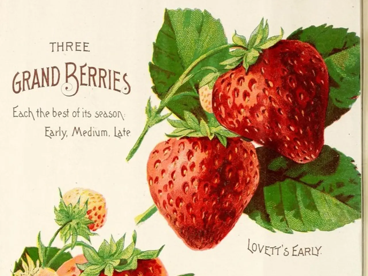 Ottieni una copia gratuita del libro "The Gingerbread Bakery" di Laurie Gilmore in questo concorso...