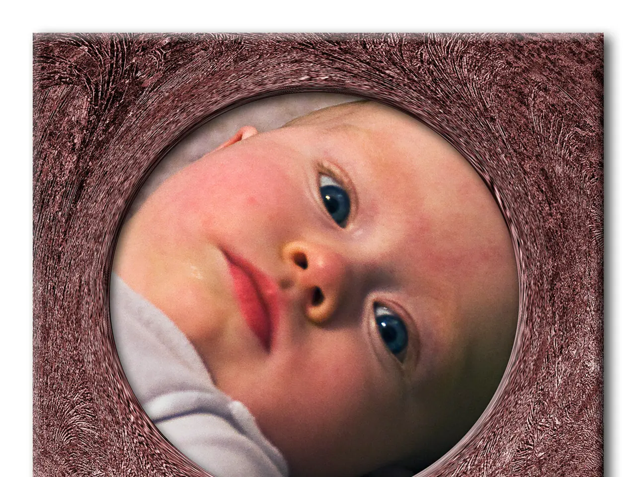 La direzione della scuola delude i genitori inviando a casa la loro figlia di cinque anni per il...