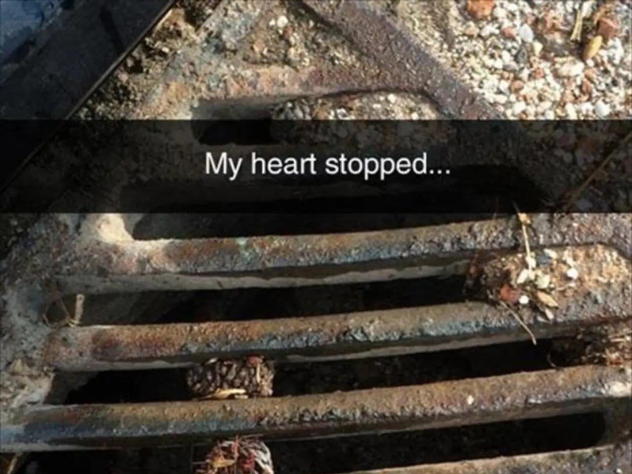 Strategie terapeutiche per individui con blocco branchiale sinistro e insufficienza cardiaca nel...