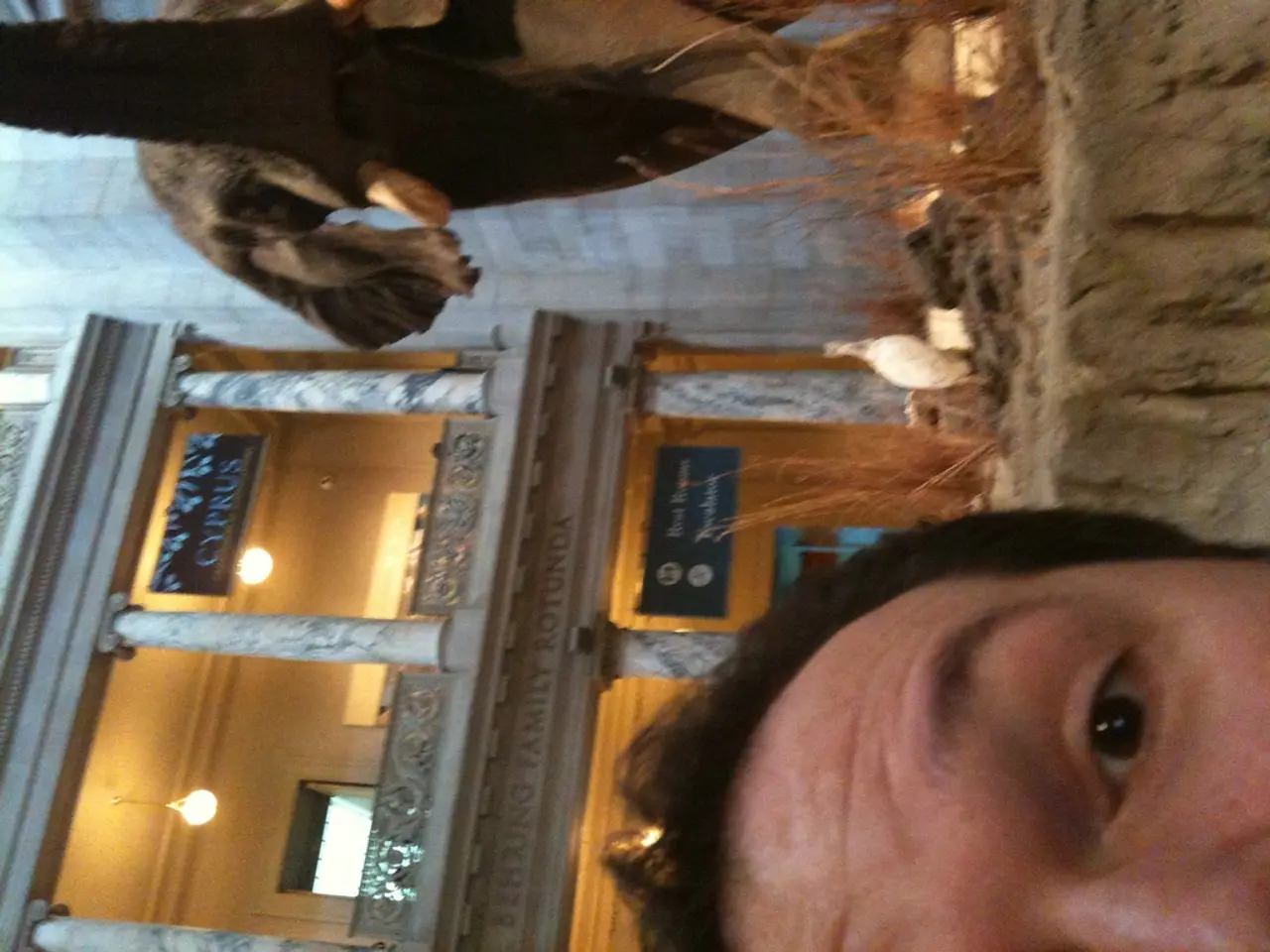 Presentiamo Sarah Harrelson, la visionaria lungimirante che guida Cultured Magazine in qualità di...