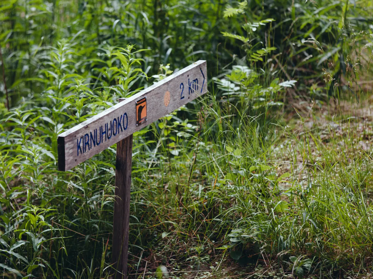 La tecnologia della blockchain verde acquista slancio con la partnership tra INTO e EcoCreds, con...