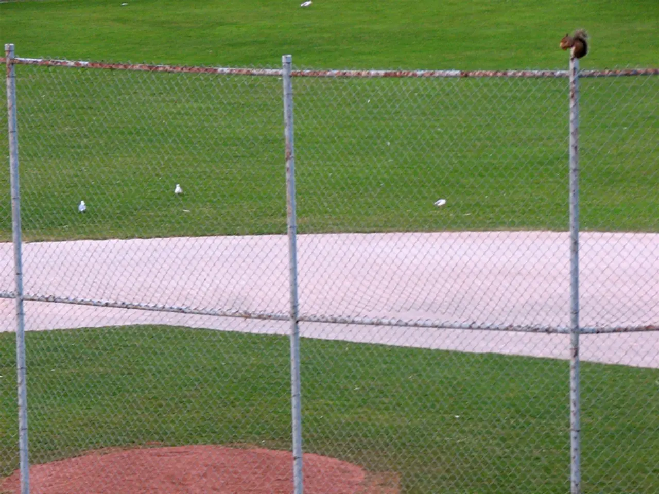 Ricorso contro la decisione di revocare lo status di specie in pericolo per i tacchini delle...