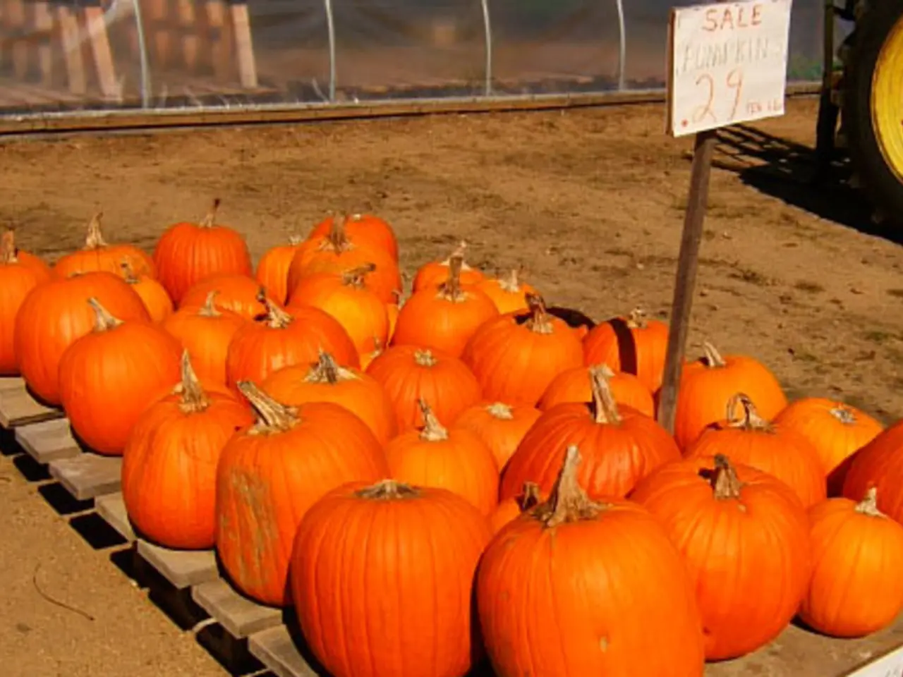 L'Estonia considera la rivitalizzazione delle paludi come strategia per contrastare l'influenza di...