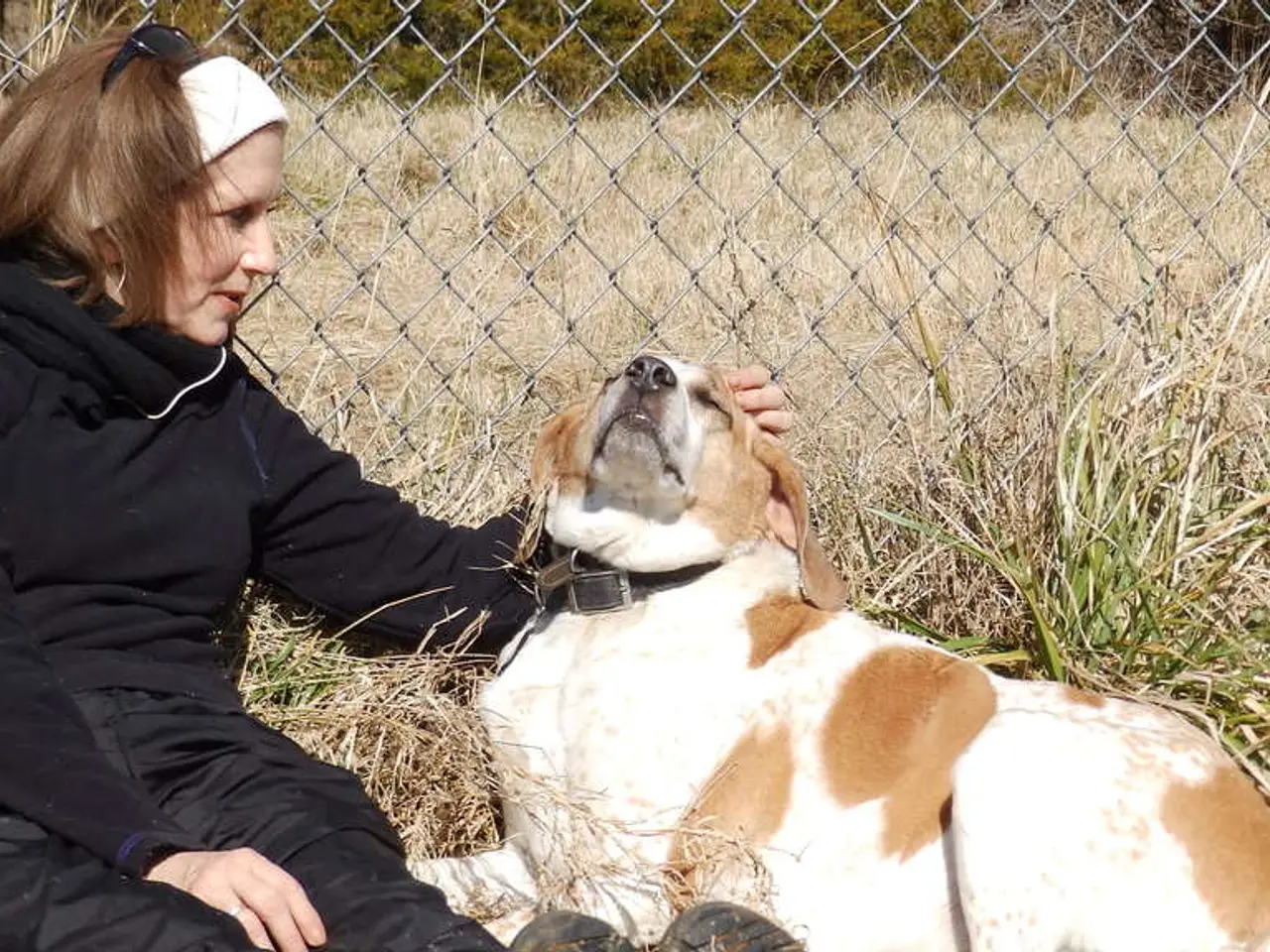 Valutazione della giacca Rainshadow di Patagonia