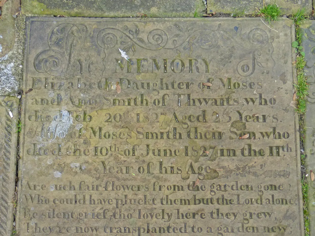 Localizzazione delle Campane d'Argento in Hollow Knight: Silksong