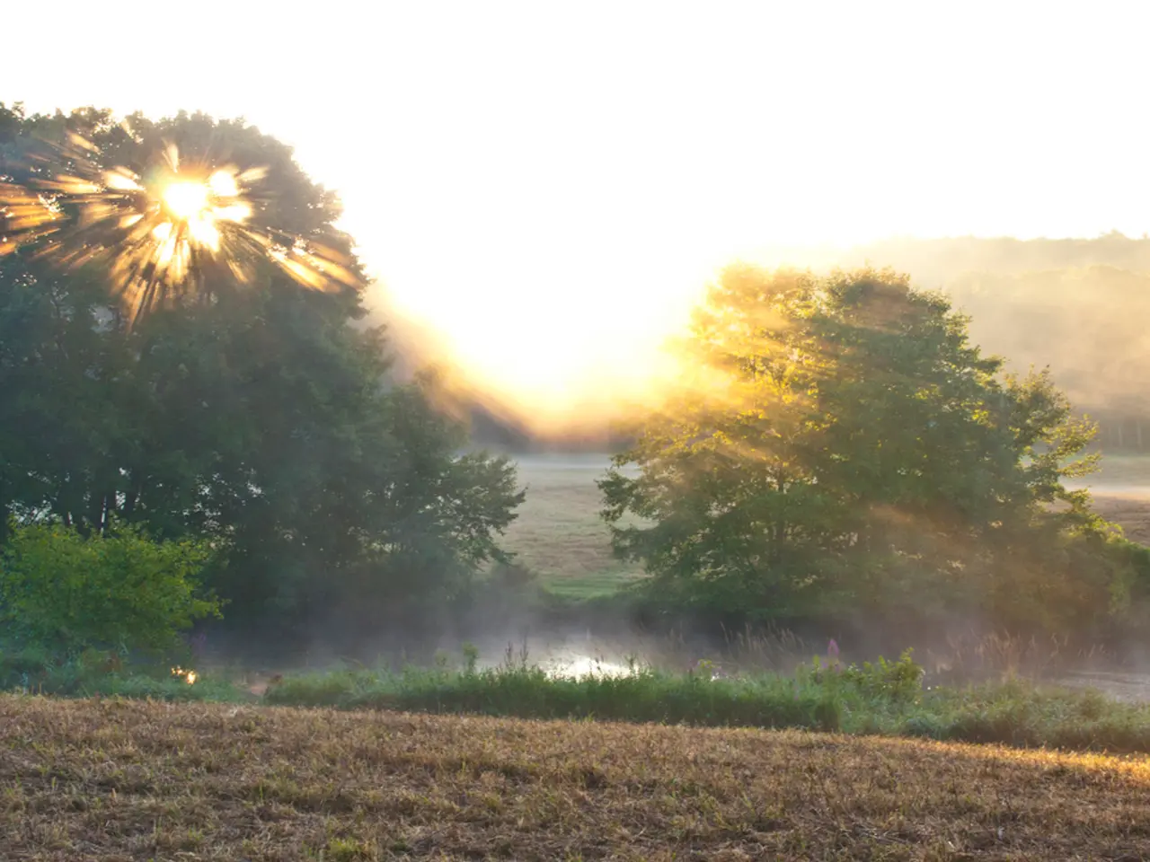 Effetti della siccità sui contenuti di umidità dell'atmosfera