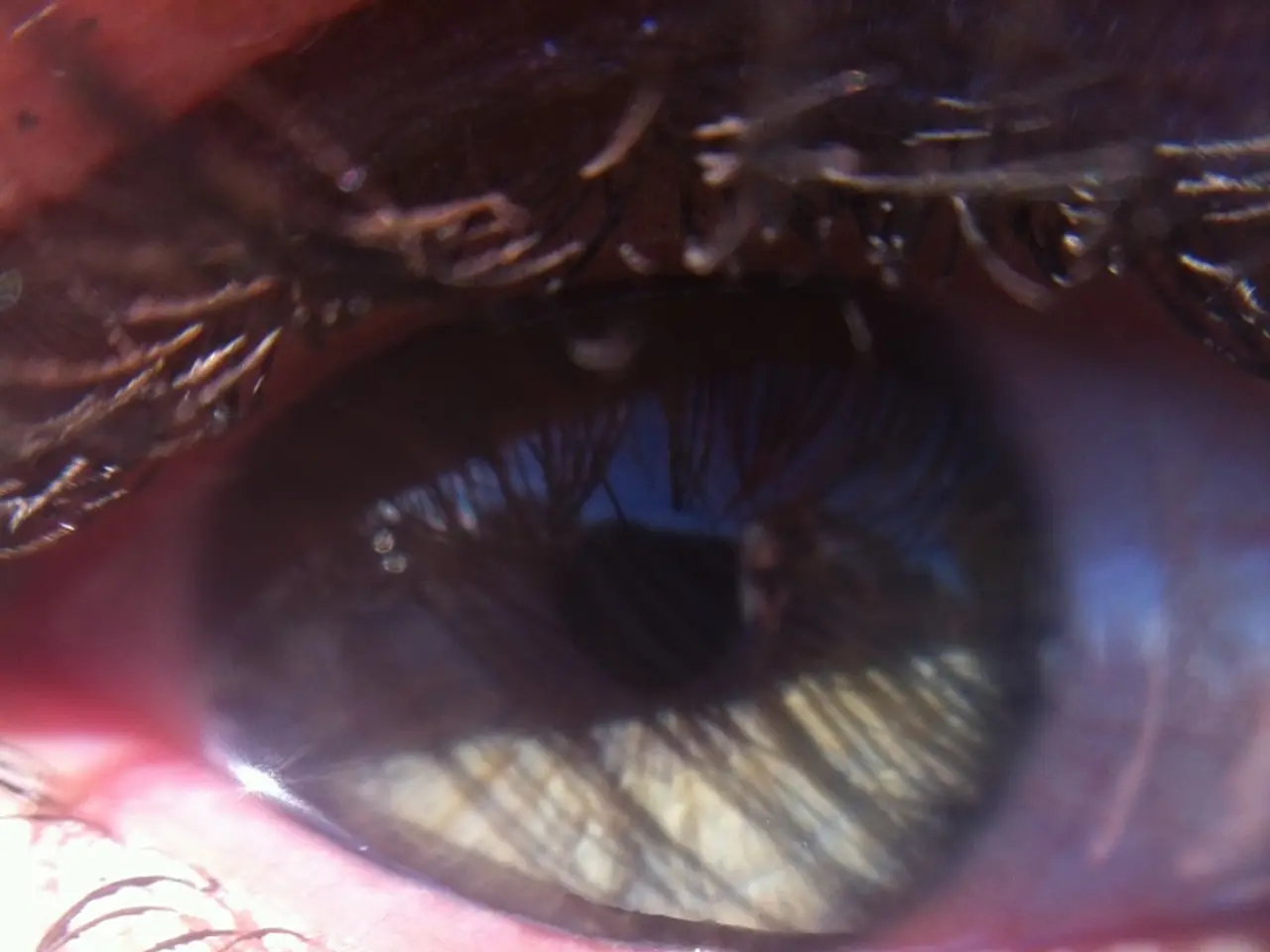 Tecniche per Ridurre l' Kommunalità degli Occhi Causata dalle Lacrime