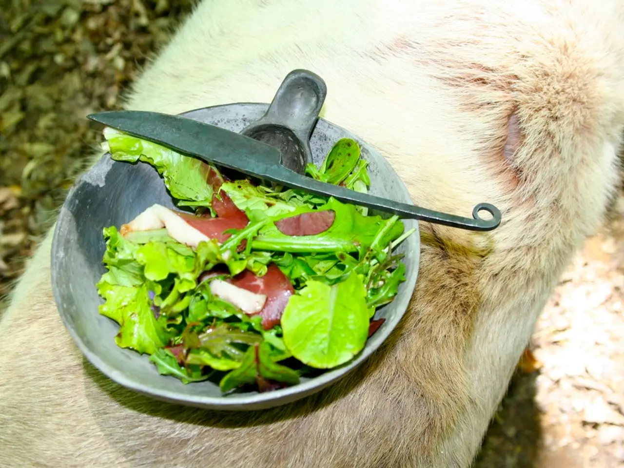 Inconvenienti digestivi possono segnalare 'Stress intestinale'