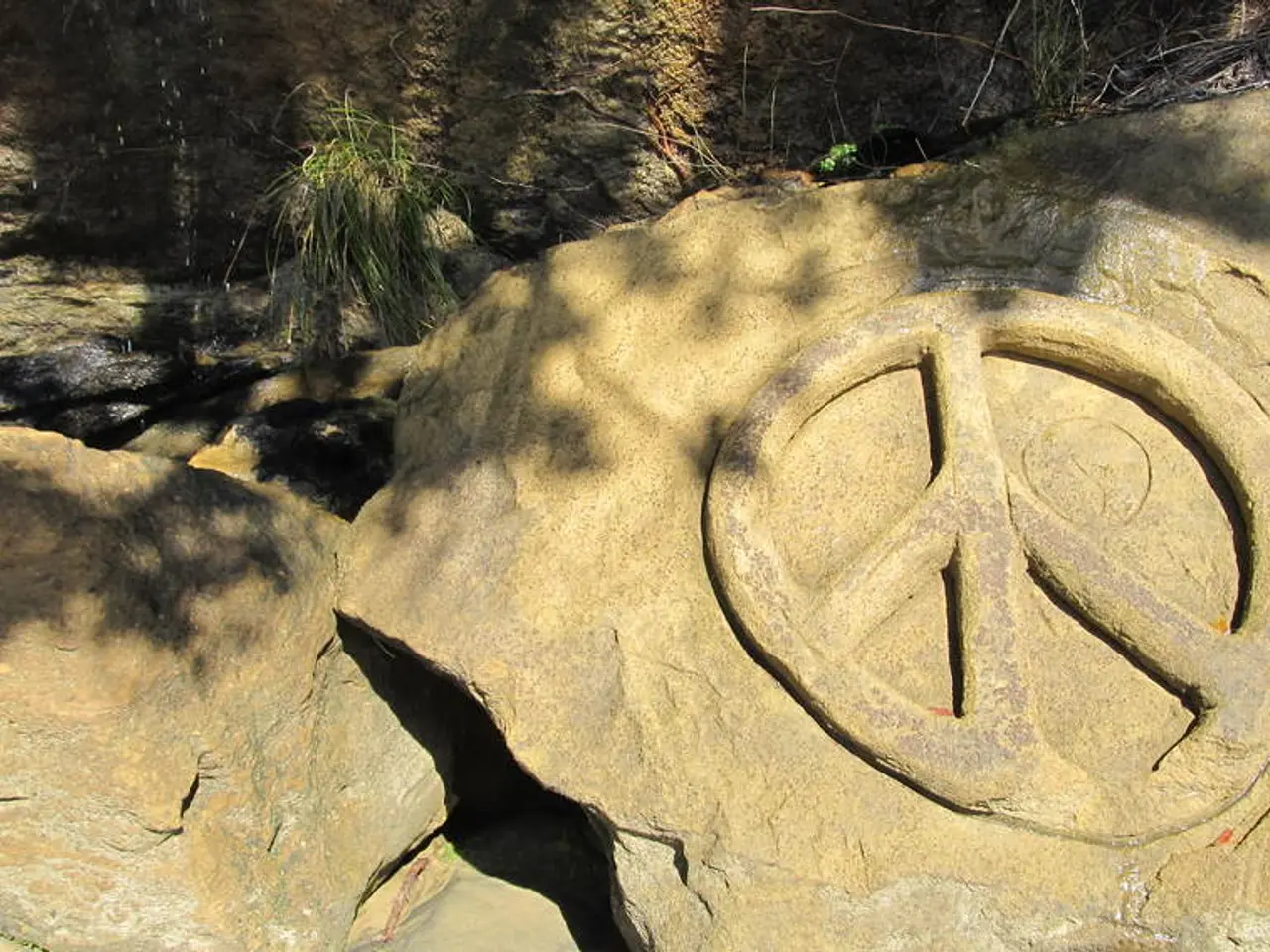 Stai provando fastidio addominale insieme ad altri sintomi che potrebbero essere causati dai...