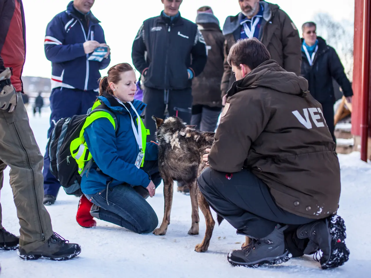 Trattamento delle Lesioni: Scoprire i Metodi più Effettivi per Applicare il Ghiaccio
