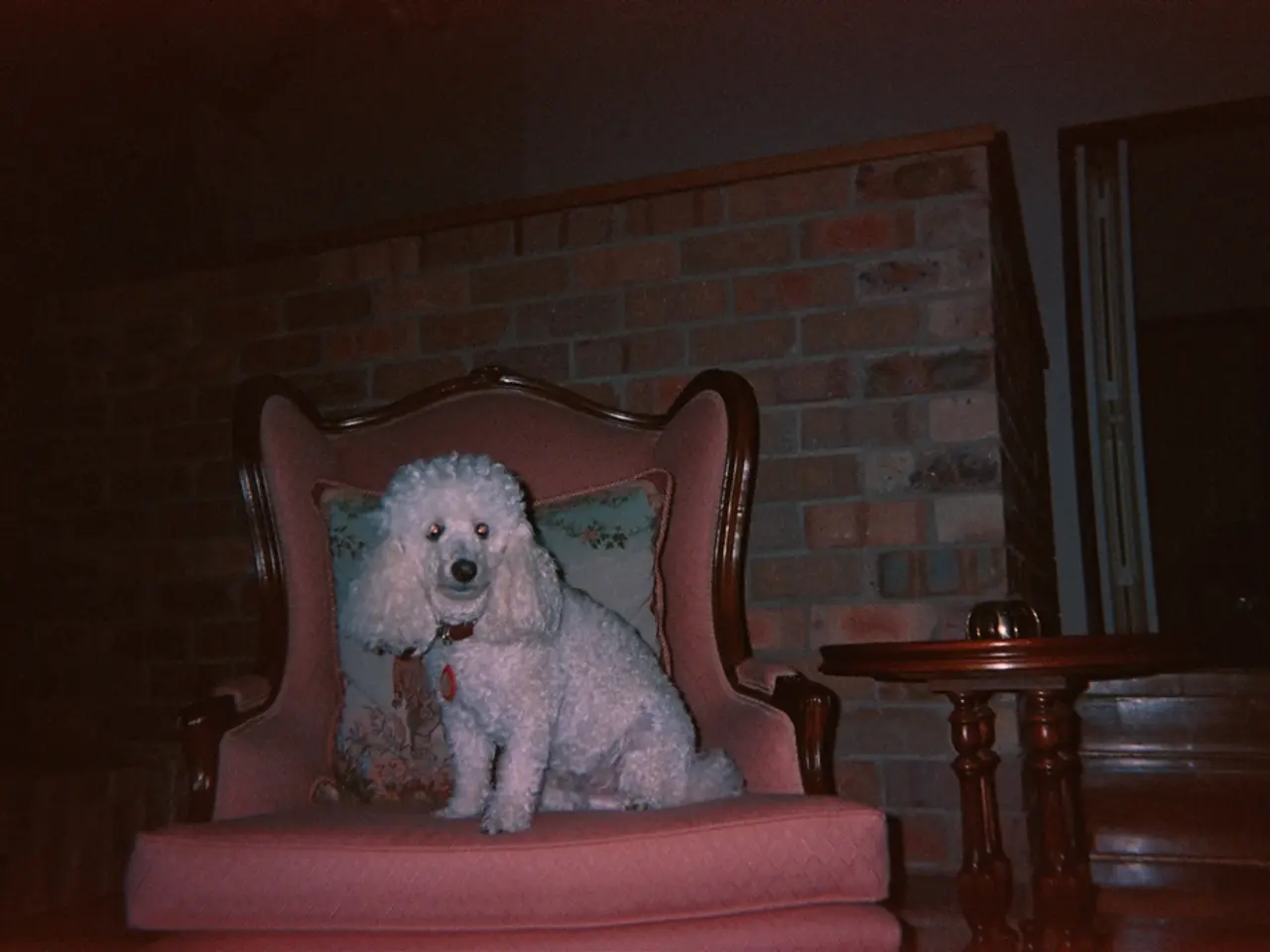 Britney Spears lascia gli amici confusi dalla sua sconcertante situazione personale