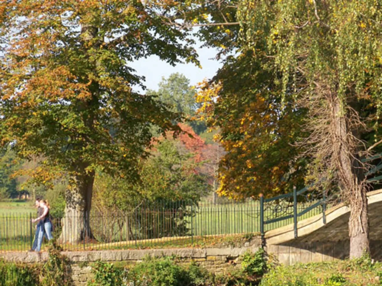 Uomo presumibilmente uccide istruttore in pensione dell'Università di Auburn in un parco pubblico,...