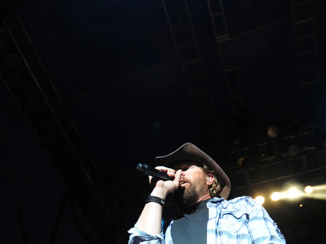 Avicii fu chiesto, 'Chi canterà la canzone dell'irish pub?' a cui rispose, 'Tu'.' Trasformando una...