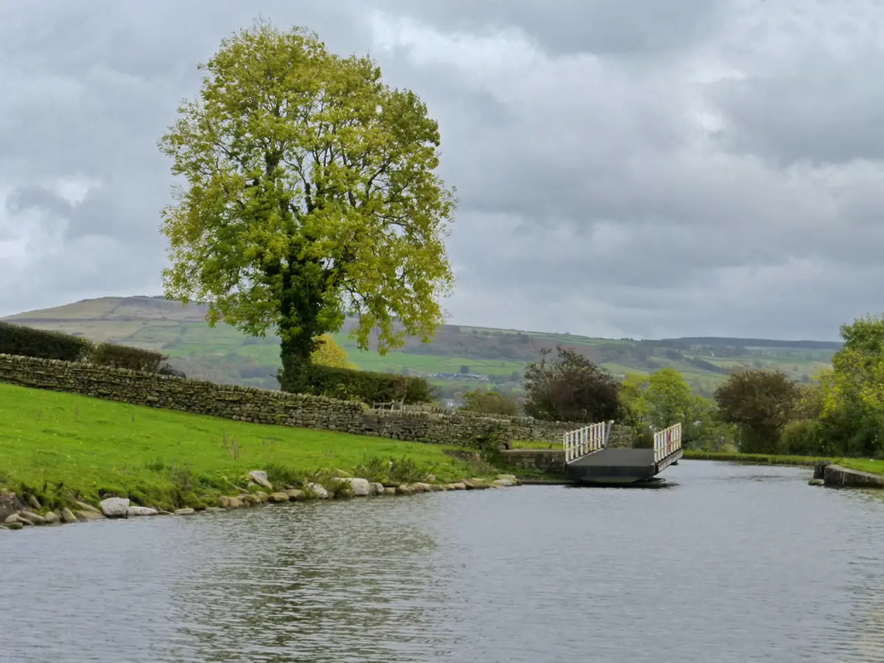 Esplorando i Fondali e le Acque Superficiali: Rintracciare le Radici dell'Esistenza Biologica