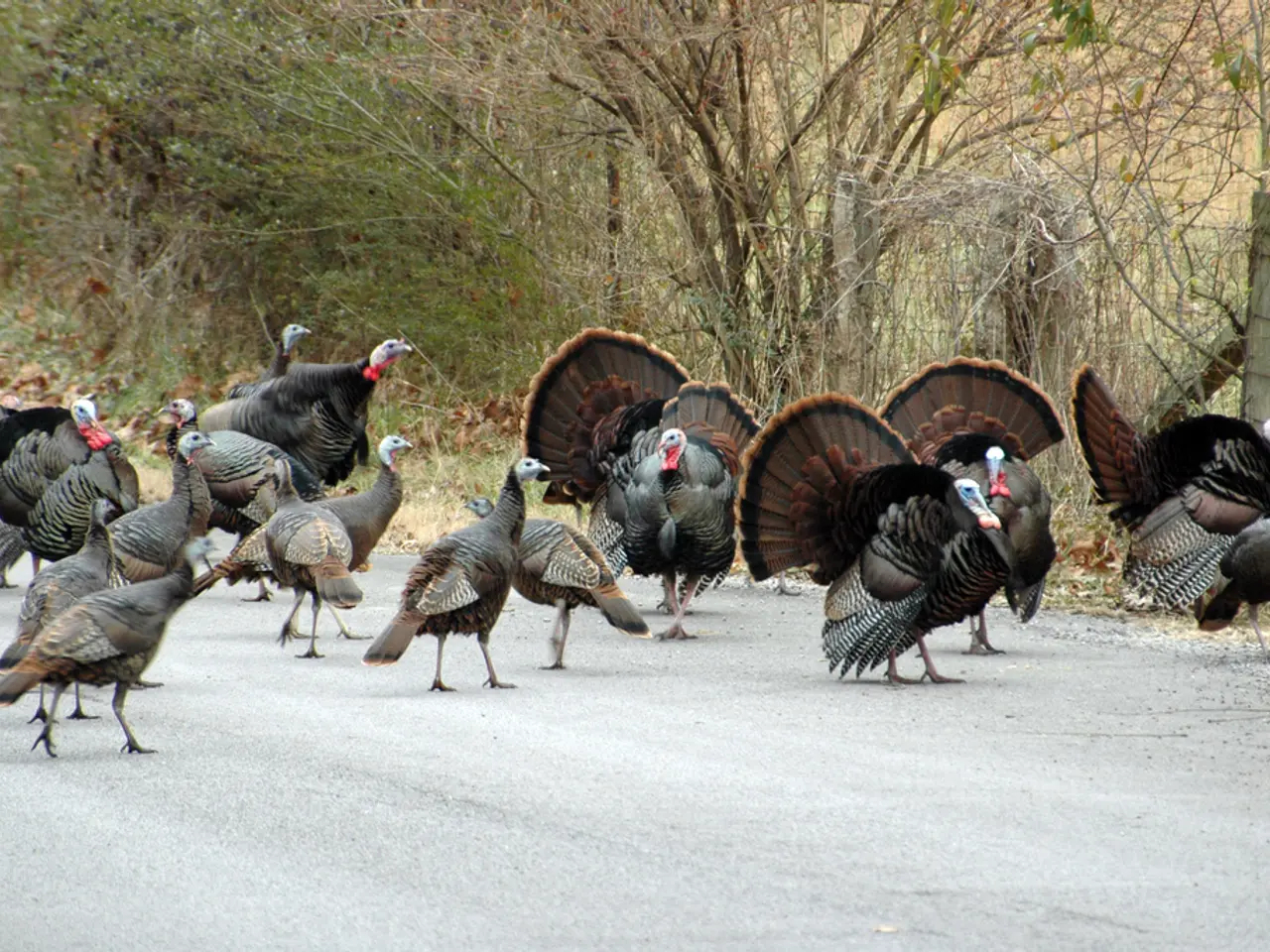 Luoghi divertenti nella Baia Orientale per bruciare calorie dal cenone del Ringraziamento (2024)