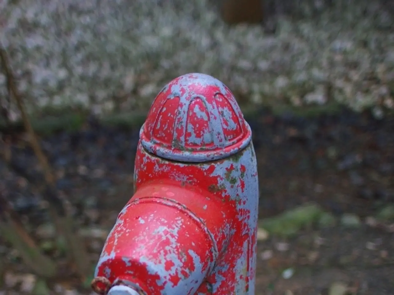 La birreria potrebbe trasferirsi a causa di un possibile aumento delle tariffe dell'acqua di...