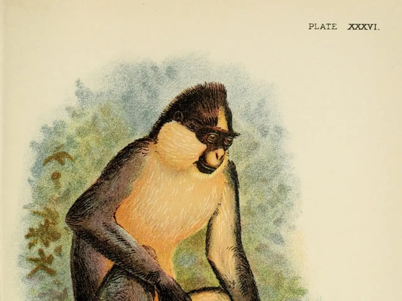 Rivelare una Mappa Cerebrale Completa per i Mammiferi: Scopriremo i Meccanismi dell'Intuito e dei...