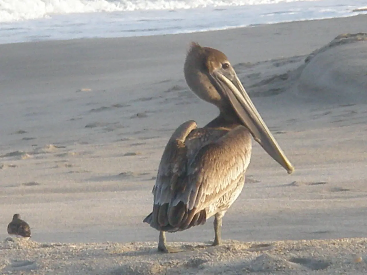 Flusso e Riflusso Cosmico: Copertura Comprensiva - Lessico degli Eventi Astronomici