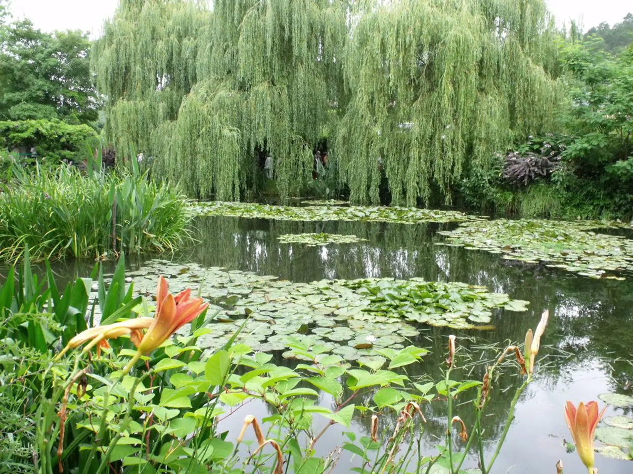Sette Varietà di Azalea per un Giardino Autunnale con Strabilianti Tonalità di Colore