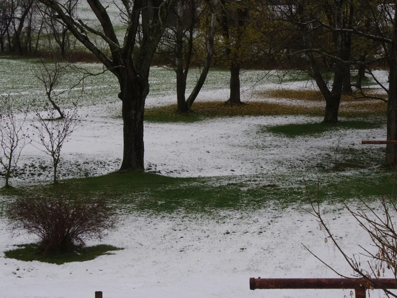 Biocombustibili: La loro natura e impatto ambientale