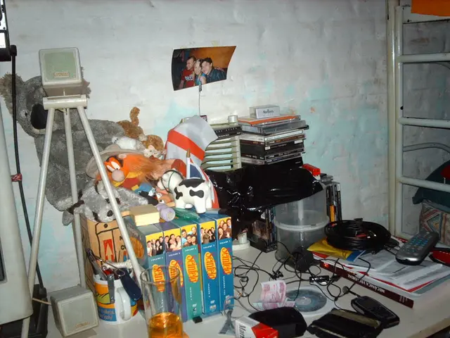 Le 10 migliori strategie per scoprire i codici bonus di Mr. Bet che offrono risultati effettivi