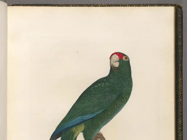 Giochi enigmatici nella foresta pluviale amazzonica: discovers il destino della spedizione di Percy...