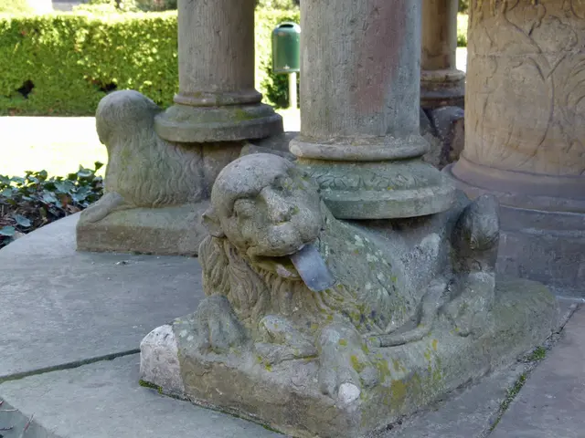 Itinerari di Safari di Alto Livello nei Selvatici Terreni dell'Africa