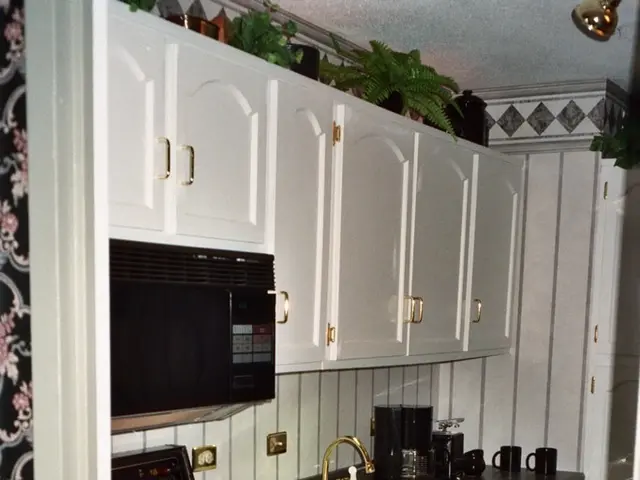 Rivestimenti da parete a basso impatto ambientale: alternative per decorazioni ecosostenibili