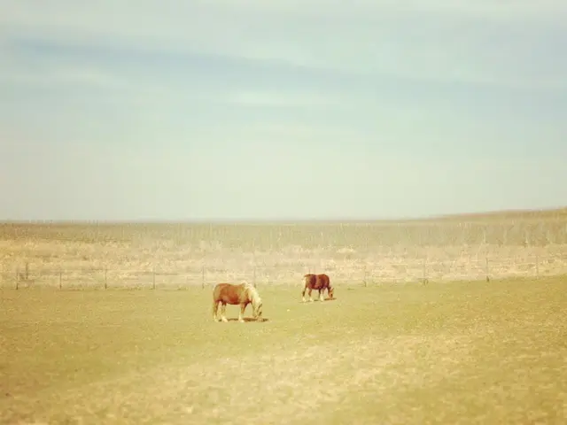 La vita selvatica sui pascoli non farà più parte degli spettacoli circensi