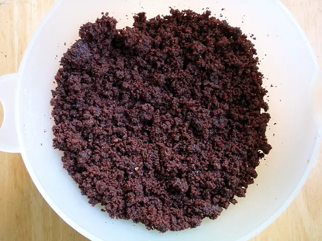 OSIO (eccessivo crescita batterica nell'intestino tenue) - Esplorazione dei sintomi, delle origini,...