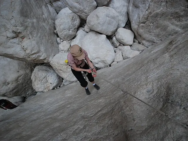 Due simboli iconici, le Vandi, sono tenuti da due individui, indicativi di pianificazione...