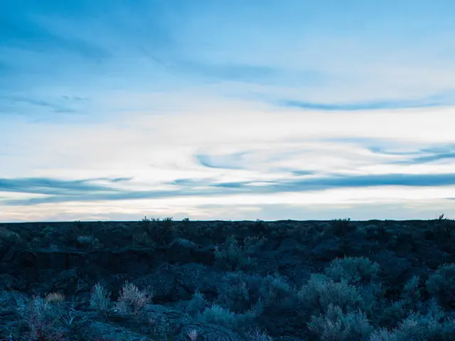 Gestire l'ansia della famiglia per i campi estivi dopo le alluvioni del Texas: suggerimenti per le...