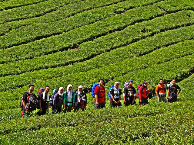 il 20% circa dei conflitti mondiali riguardanti le questioni ambientali viene attribuito a un...