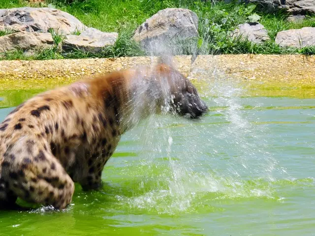 I cambiamenti nella cultura della California hanno scatenato transforms all'interno della fauna...