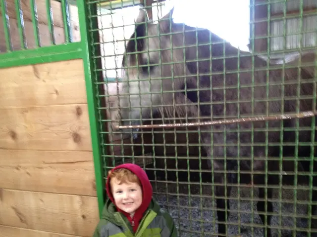 Francia potrebbe ridurre la popolazione tedesca