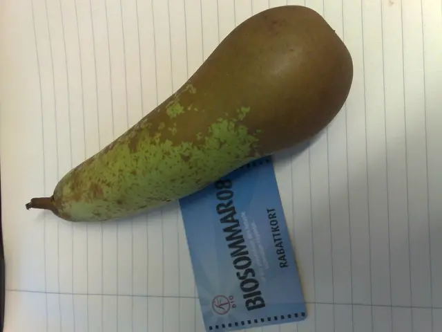 Iniziato il conto alla rovescia per l'imponente evento del 2025, noto come Golia! Inizio della Fase...