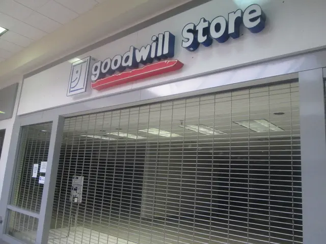 L'Insipida Emergenza del Millennio Successivo