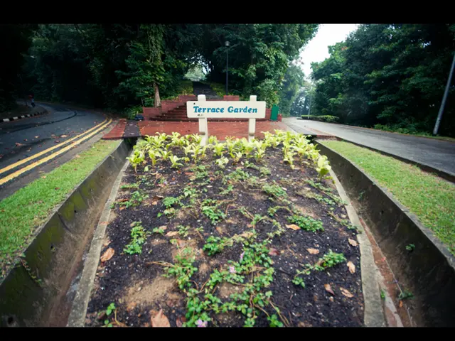 Esplorazione di Tiki Trip Slot Gameplay